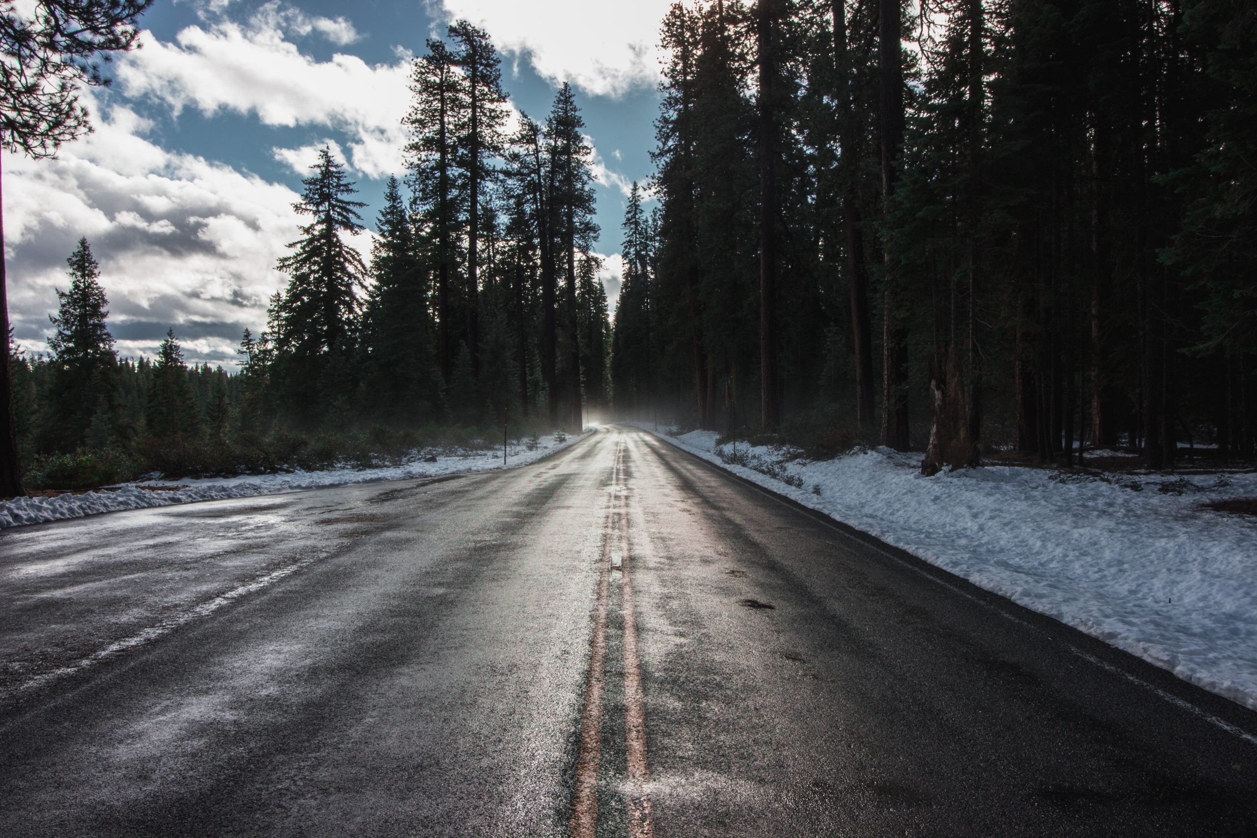 Lonely road in a forest.