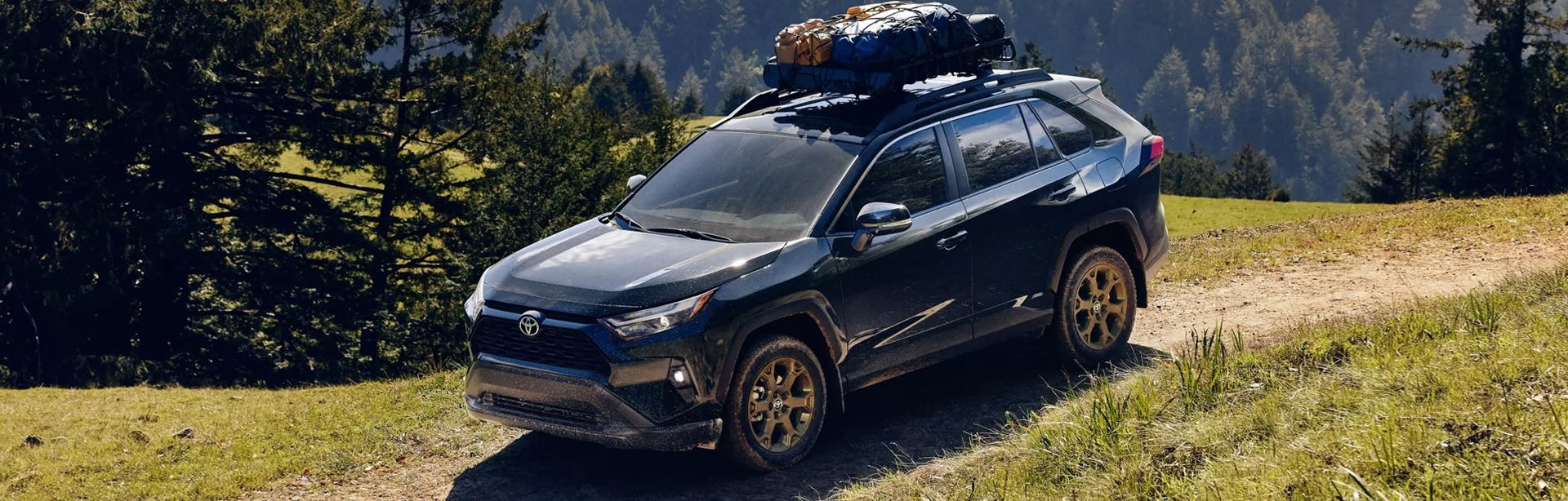 2025 Toyota RAV4 Hybrid