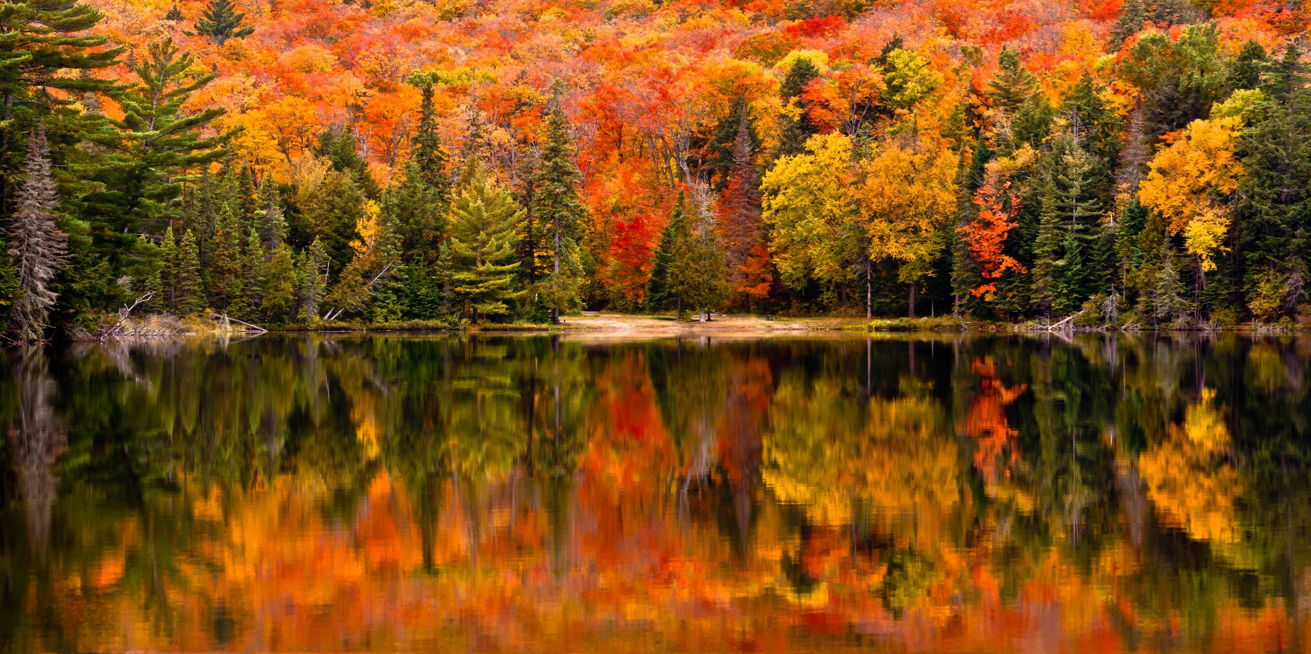 A photo of a lake during Autumn