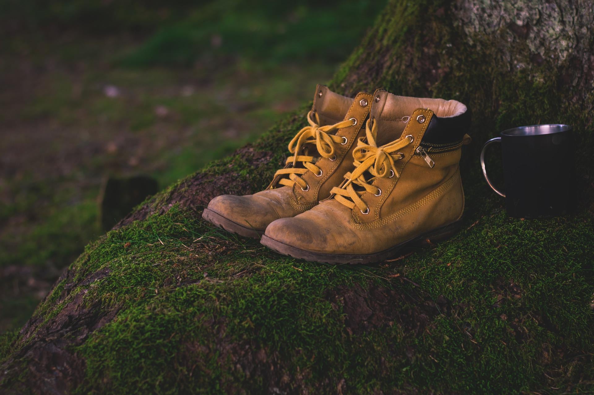 A pair of hiking boots next to a mug next to a tree