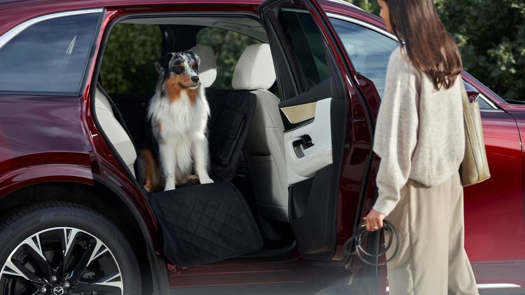 A dog sitting in the 2026 Mazda CX-90 at release date