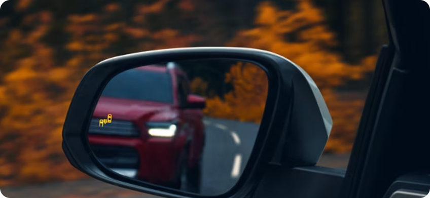 Blind Spot Monitor With Rear Cross-Traffic Alert