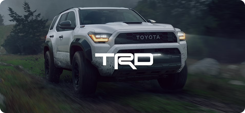 This family runs deep.