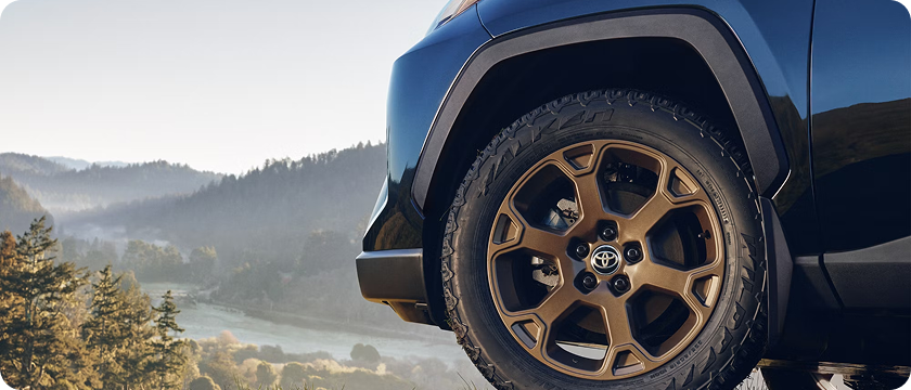 18-In. Bronze-Finished Alloy Wheels