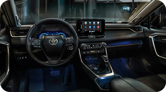 Elevated Cabin Experience