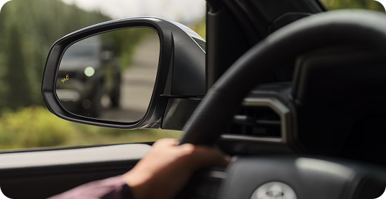 Blind Spot Monitor With Rear Cross-Traffic Alert