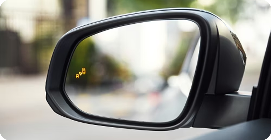 Blind Spot Monitor With Rear Cross-Traffic Alert