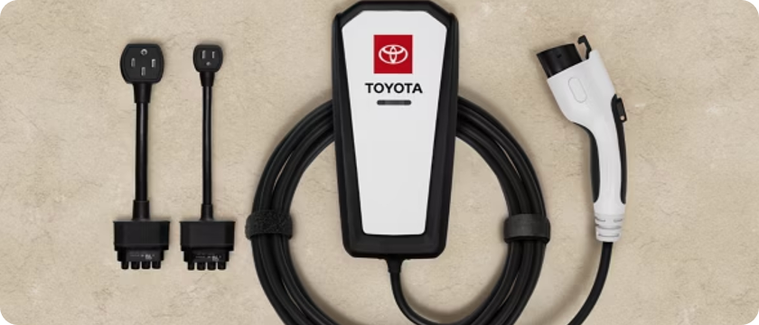 Dual-Voltage Charging Cable