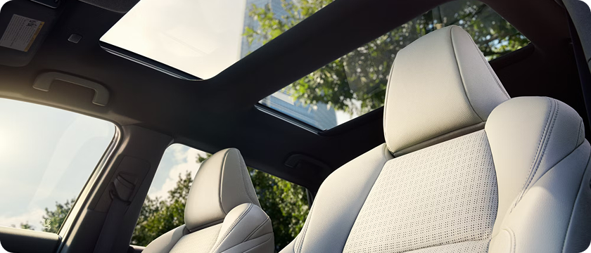 Fixed Panoramic Moonroof