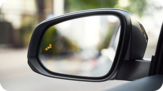 Blind Spot Monitor With Rear Cross-Traffic Alert