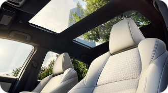 Fixed Panoramic Moonroof