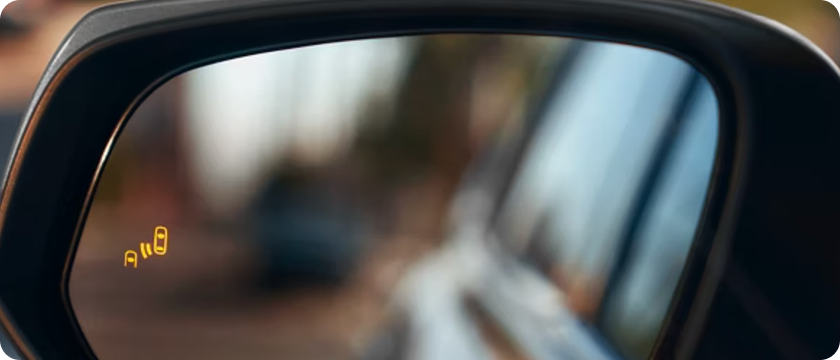 Blind Spot Monitor With Rear Cross-Traffic Alert