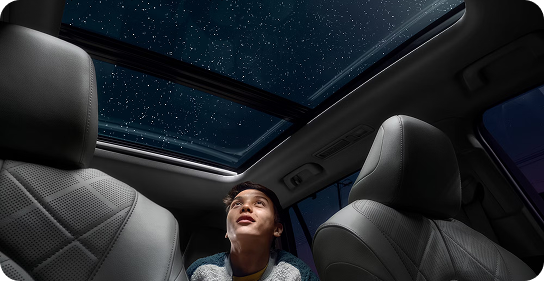 Panoramic Moonroof