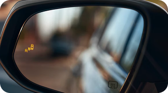 Blind Spot Monitor With Rear Cross-Traffic Alert