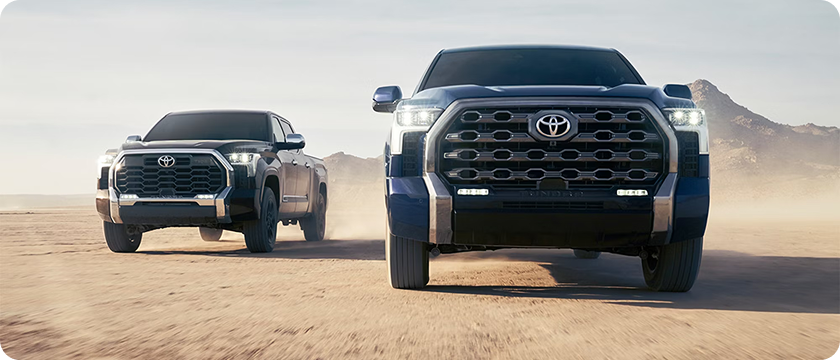 Distinctive Platinum and 1794 Edition Styling