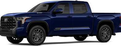 Platinum i-Force Max