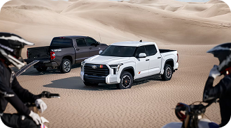 Lightweight Body Panels