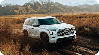 Locking Rear Differential