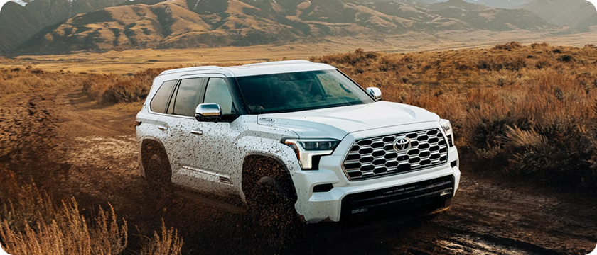 Locking Rear Differential