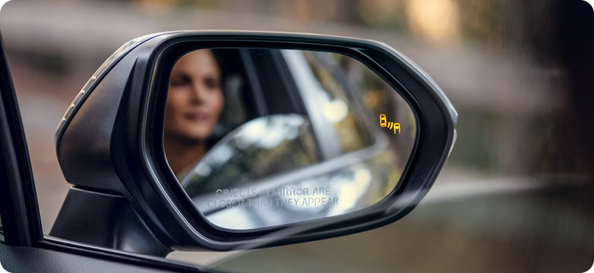 Blind Spot Monitor With Rear Cross-Traffic Alert