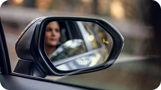 Blind Spot Monitor With Rear Cross-Traffic Alert