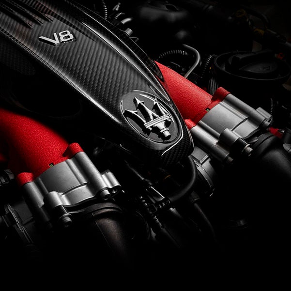 trofeo v8