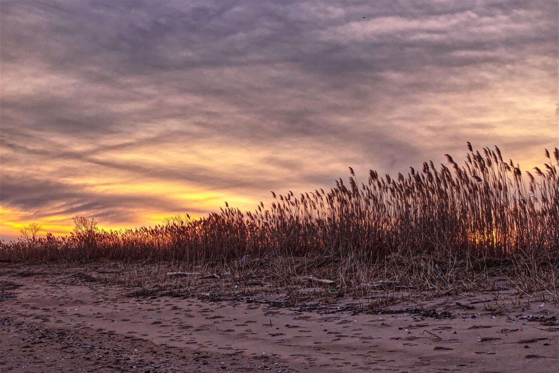 A landscape nature shot of Staten Island