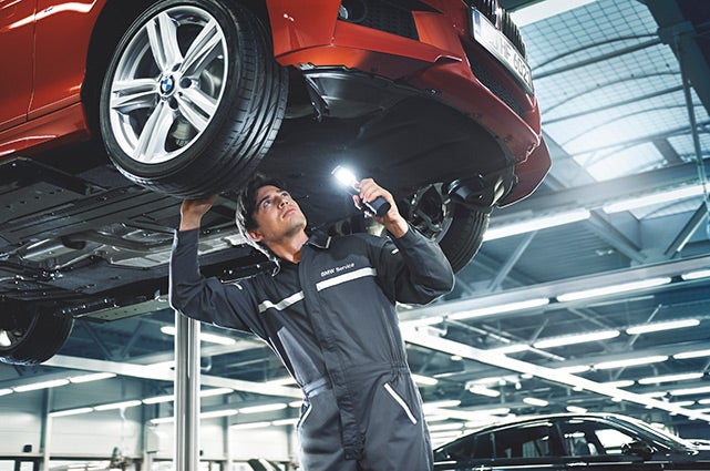 BMW Maintenance Schedule
