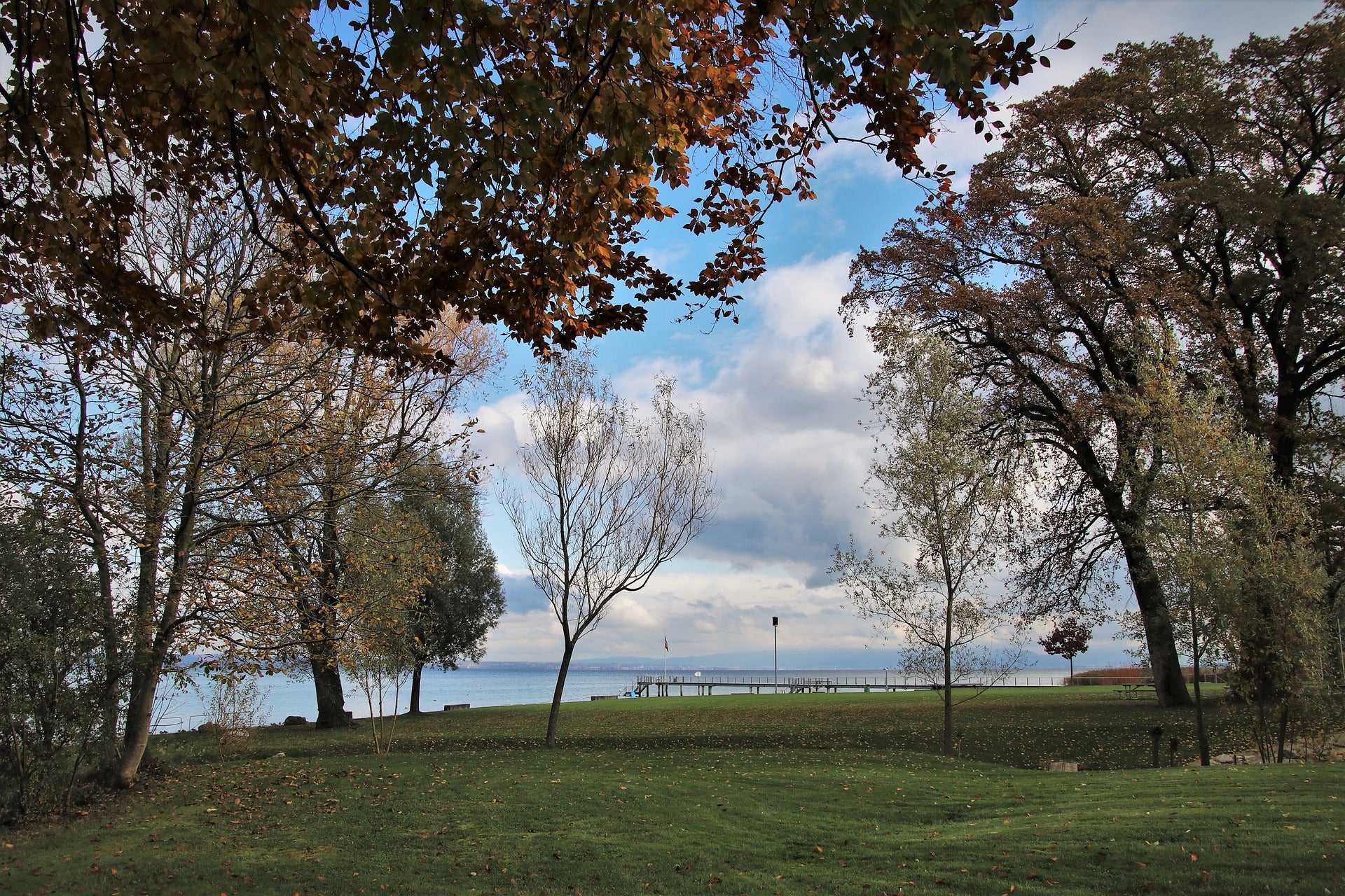 3 Fun Fall Activities