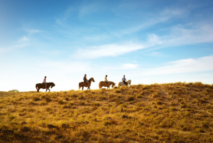People riding horses