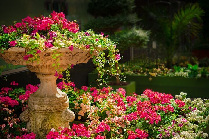 garden-670516__480
