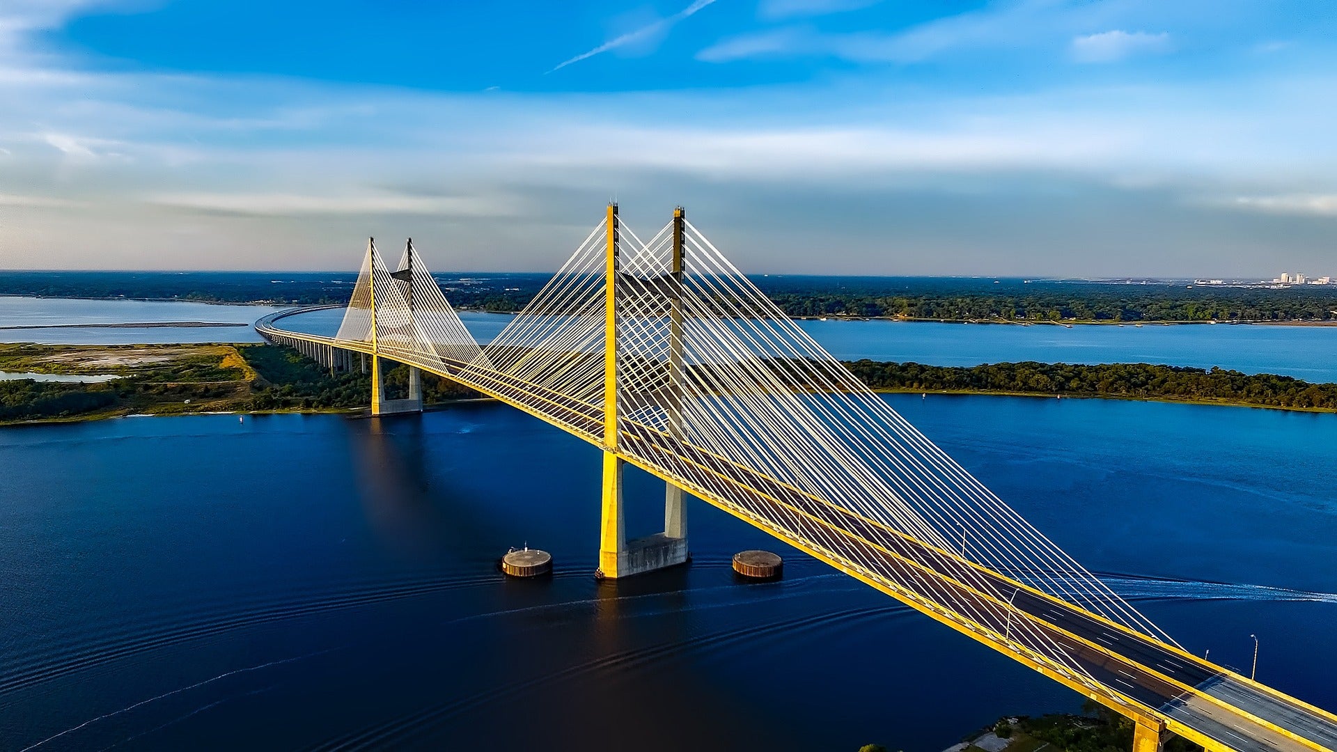 dames-point-bridge-1768738_1920 (2)