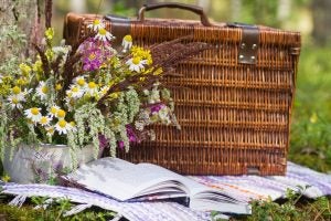 Picnic basket, flowers, and book