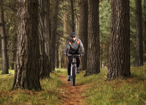 Man riding a bike on a trail