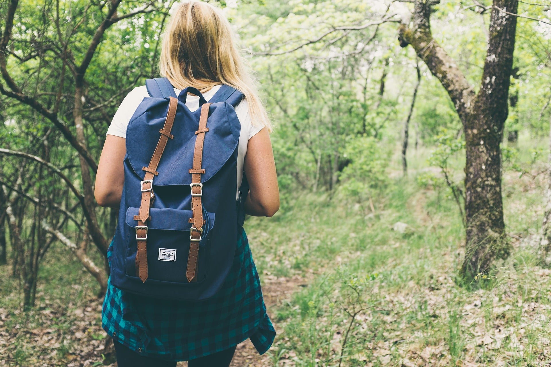 3 Great Hiking Trails