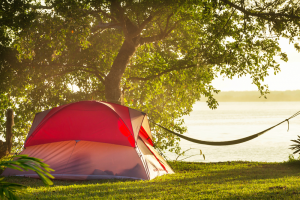 Tent sitting under a tree by the lake