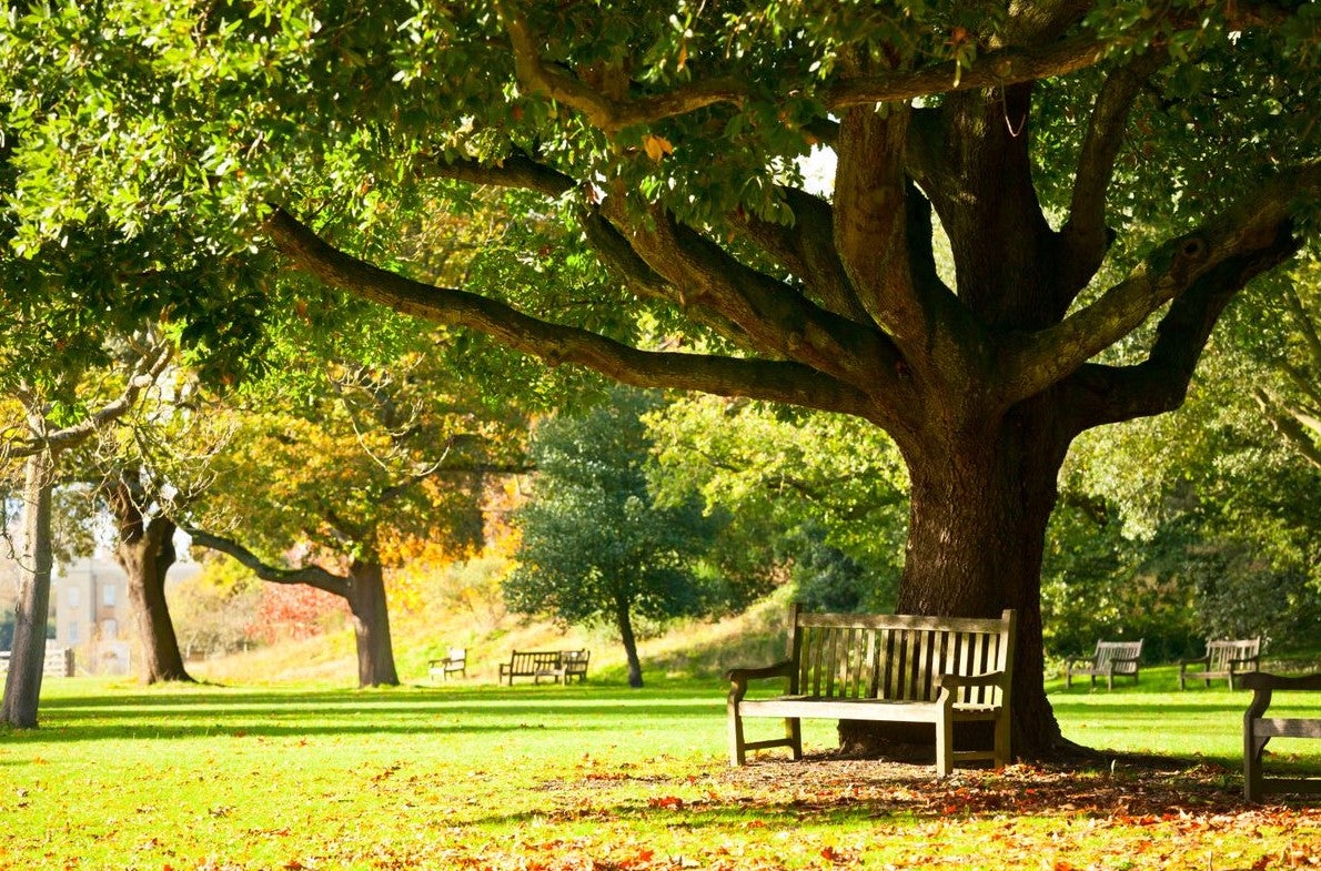 park bench
