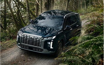 Sophistication, inside and out