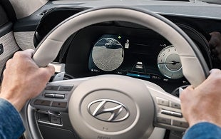 Blind-Spot View Monitor