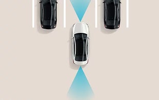 Remote Smart Parking Assist 2 (RSPA 2)