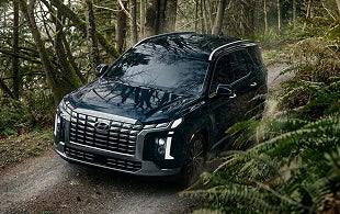 Sophistication, inside and out