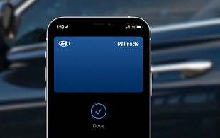 Works with Apple Wallet