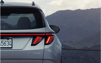 Distinctive rear lighting