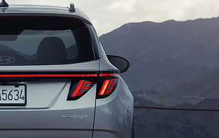 Distinctive rear lighting