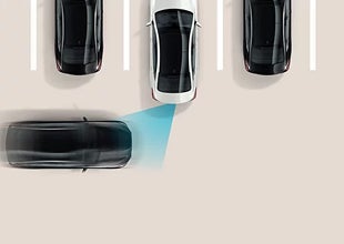 Rear Cross-Traffic Collision-Avoidance Assist