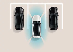 Surround View Monitor