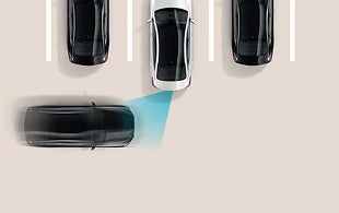 Rear Cross-Traffic Collision-Avoidance Assist (RCCA)