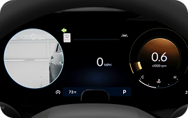 Blind-Spot View Monitor