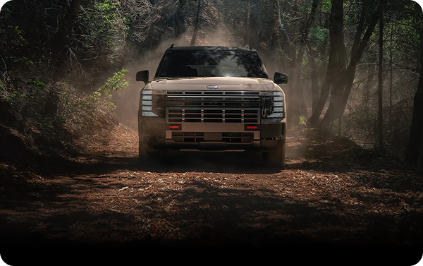 Our toughest, boldest PALISADE ever