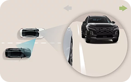 Blind-Spot View Monitor (BVM)